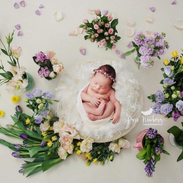 LENTE 
De tijd van bloemen, vrolijkheid, kleur en warmte. 
Onze drukste periode is begonnen, wij zijn er klaar voor! 

Boek daarom je Newborn Sessie als je nog zwanger bent. 

Hopelijk tot ziens in onze studio <3 
Mail ons voor een offerte; info@purenewborn.nl 

Liefs, Lizz
www.purenewborn.nl | info@purenewborn.nl 
IG: @purenewborn.photography